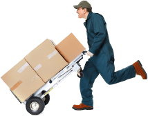 Domestic Removals