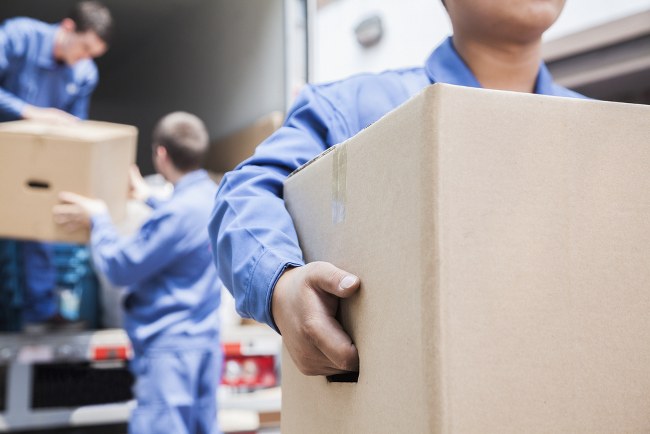 removals services
