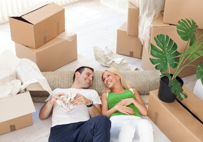 removal services
