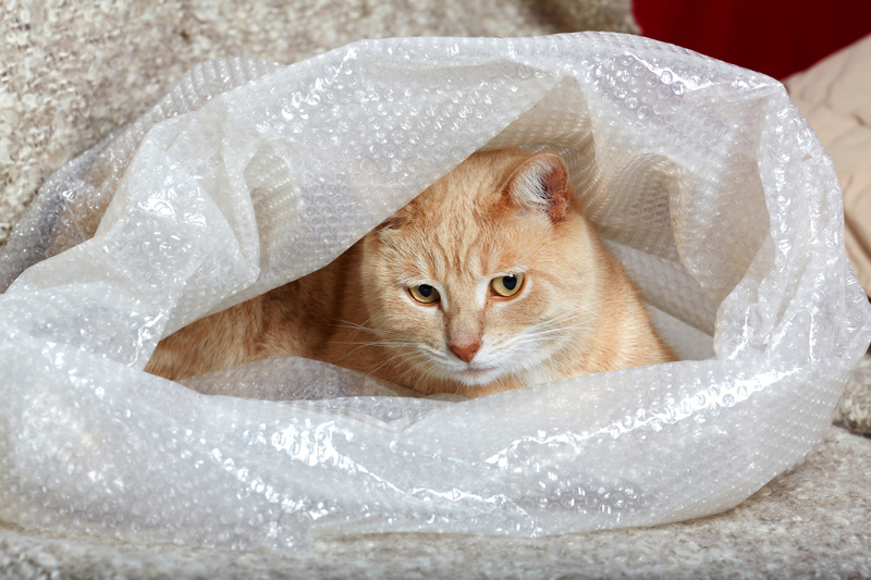 packing home